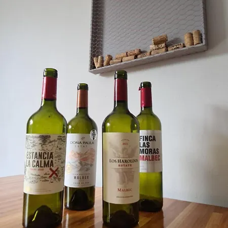 Malbec Depto - Complejo Privado - Ruta Del Vino - Turismo De Negocio - A 5Min Estadio Arena Maipu, 200 Mt Il Mercato - 3 O 4 Personas Maipú Exterior foto